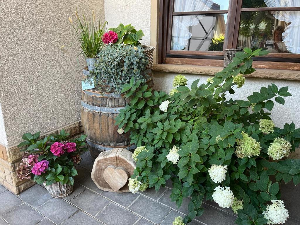 Hotel Weingut und Gästehaus Holger Alt Monzingen Exterior foto