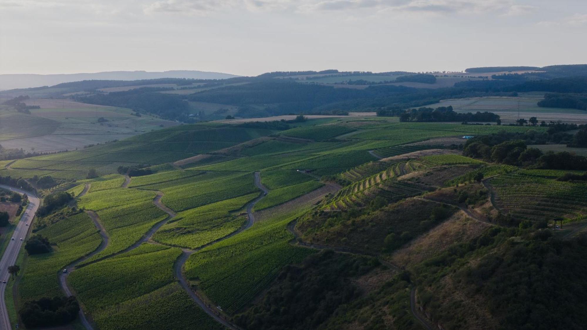 Weingut und Gästehaus Holger Alt Monzingen Exterior foto