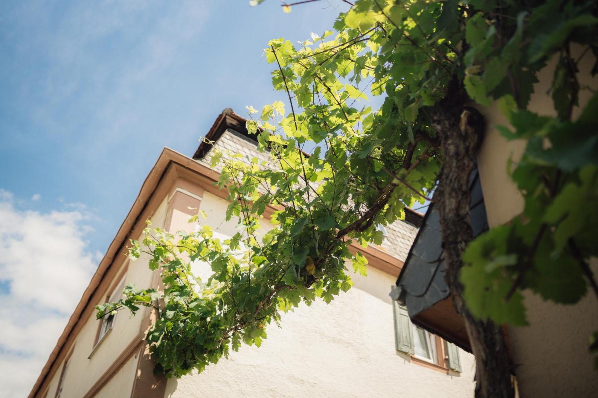 Weingut und Gästehaus Holger Alt Monzingen Exterior foto